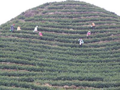 地理概况